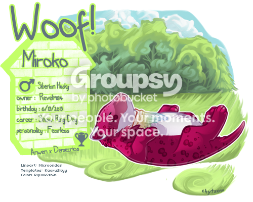 User Image